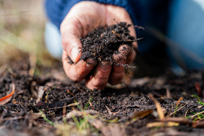 Explore Besalim-Compost